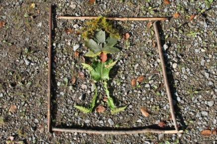 Quelle: Kath. Pfarramt Haslach